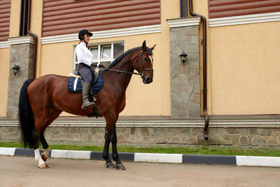 Rear view of man riding horse against wall