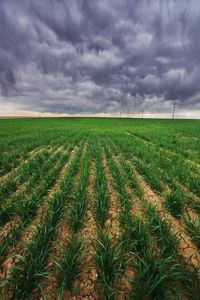 Scenic view of farm against cloudy sky