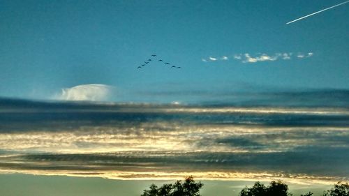 Flock of birds flying over sea against sky