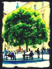 People walking in city
