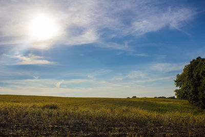 Scenic view of field against sky