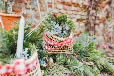 Diy natural christmas decoration outdoor. pine branch in straw basket