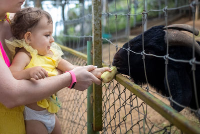 Rear view of woman with daughter against fence