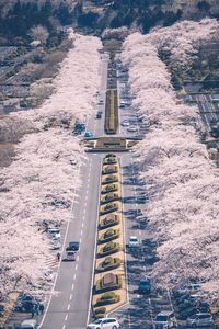 High angle view of road by buildings in city