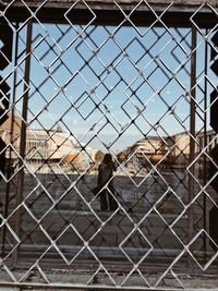View of birds on chainlink fence