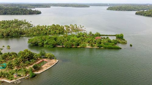 High angle view of lake and trees