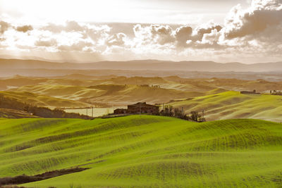 Scenic view of agricultural field against sky