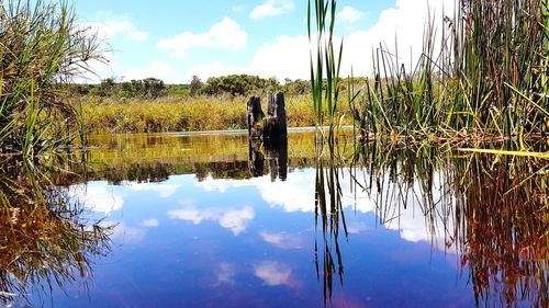 Scenic view of lake against sky