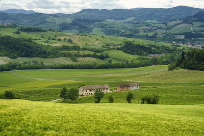 Scenic view of green landscape and mountains