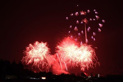 Low angle view of firework display against sky at night