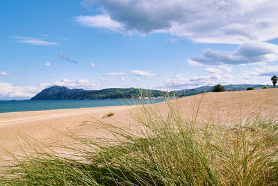 Scenic view of beach against sky