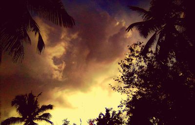 Low angle view of silhouette trees against sky at sunset