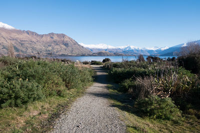 Scenic view of landscape against clear sky