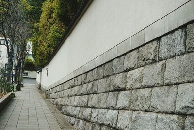 Steps amidst trees