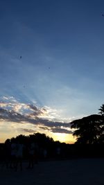 Silhouette birds flying over landscape against sky during sunset