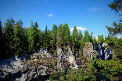 Scenic view of rocks in forest against sky