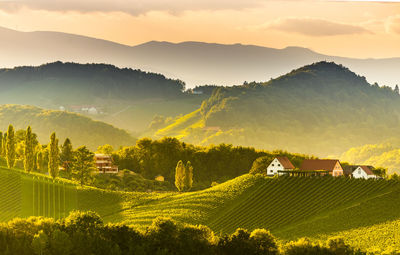 Scenic view of trees and houses against sky