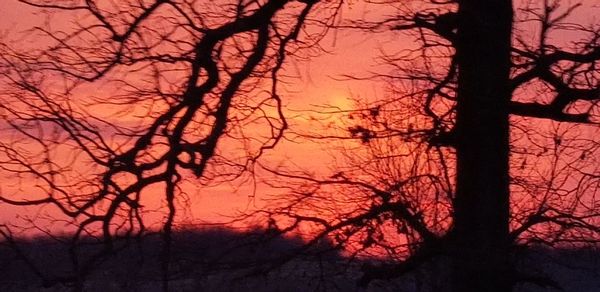 Silhouette bare trees against sky during sunset