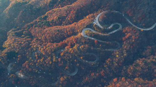 High angle view of trees by sea