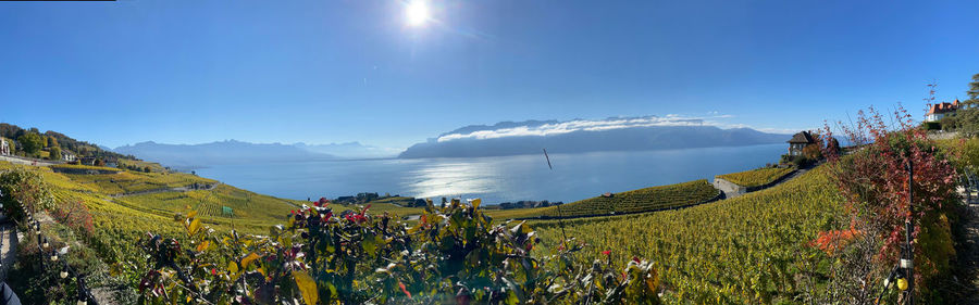 Panoramic view of landscape against blue sky