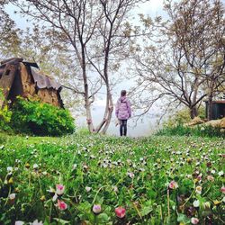 Woman standing by flower tree on field