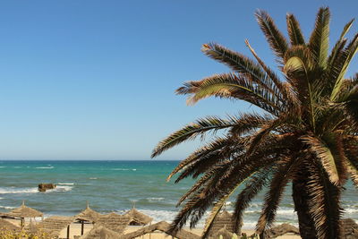 Tunisian beach