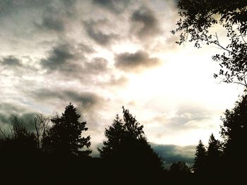 Low angle view of trees against cloudy sky