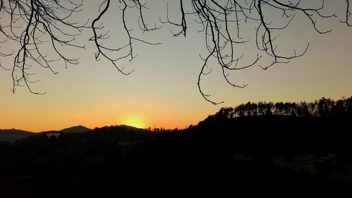 Bare trees on landscape at sunset