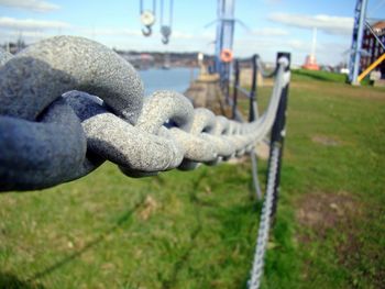 Close-up of rope tied up on grass