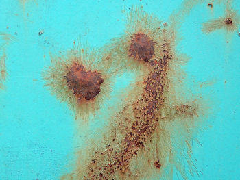 Full frame shot of water