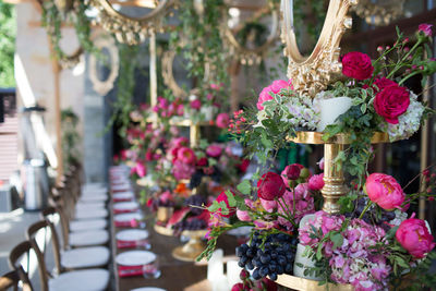 Potted plants for sale at street market