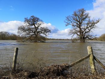 Scenic view of lake by trees against sky