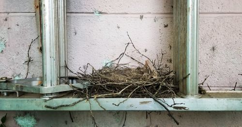 Damaged wall by window