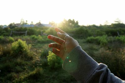 Cropped hand of person gesturing over plants against sky