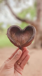 Close-up of hand holding heart shape against blurred background