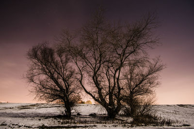 Bare tree on field against sky during winter