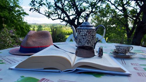 Lounge chairs on table against trees