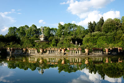 Reflection of trees in pond