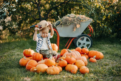 A little cowboy boy is sitting on a pumpkin in the autumn garden and trying on a hat. halloween