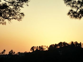 Low angle view of silhouette trees against clear sky during sunset