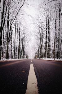 Road amidst bare trees during winter