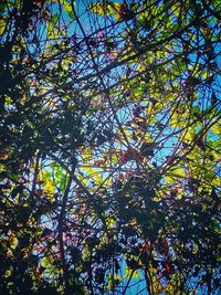 Low angle view of tree in forest