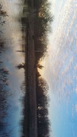 Reflection of trees in water