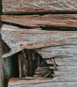 wood