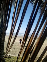 Rear view of woman playing beach volleyball against clear sky