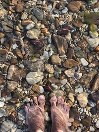 Low section of person standing on pebbles