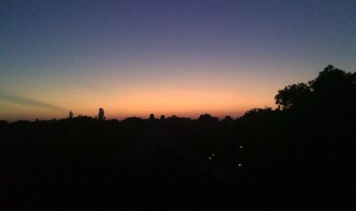 Silhouette of trees at sunset