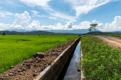 Road amidst agricultural field against sky