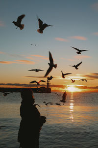 Silhouette birds flying over sea against sky during sunset