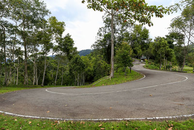 Sharp turn of the road in a forest